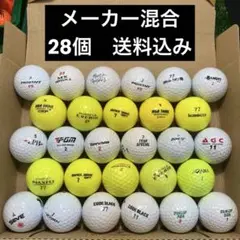 ロストボール　メーカー混合　28個