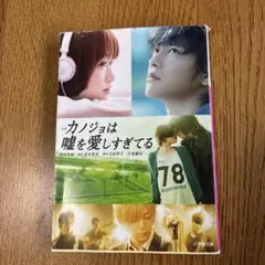 小説 カノジョは嘘を愛しすぎてる
