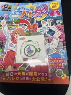 TGS2026 東京ゲームショウ2026 るるぶ特別編集 雨のちハレ女