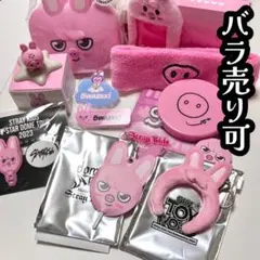 Stray Kids チャンビン トェッキ グッズ