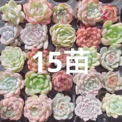 ろく様 リクエスト 3点 まとめ商品