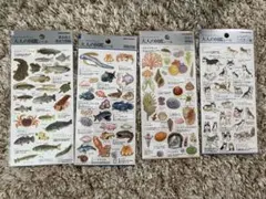 めぐみん様 リクエスト 2点 まとめ商品