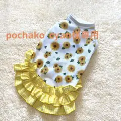 ハンドメイド　犬服　pochako cyan様専用