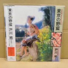 日本盤】謝霆鋒 ニコラス・ツェー / 玉蝴蝶 ジェイド・バタフライ CD
