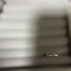 リング ゴールドピンクカラー