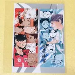 ハイキュー　コミックス収納ボックス 特典 しおり⭐️2種セット