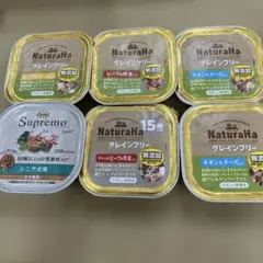 Item thumbnail for item d045f4f5-12c5-4a48-82bc-2b8ea11e414b