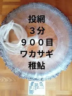 Item thumbnail for item 652e7313-5e2b-4c4f-9101-fad91778b4d1