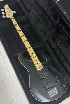 2026年最新】progauge schecterの人気アイテム - メルカリ