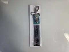 2026年最新】マジカルミライ 銀テープの人気アイテム - メルカリ