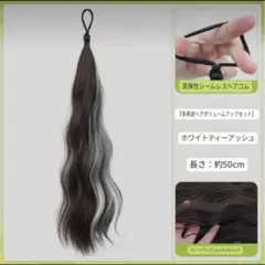 【グレー】ポイントカラーウィッグ 2本セット