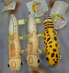 レオパのきいちゃん なかよし コンプリート3点セット VMC - メルカリ