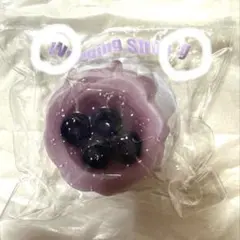 文清ストロング　Wenqingstrong プリン　ブルーベリー