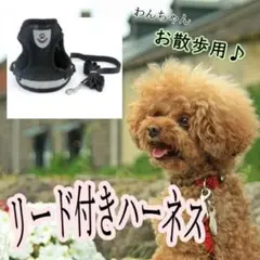 リード付き ハーネス ブラック Sサイズ 犬 猫 兼用 メッシュ 通気性 夏