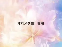 オバメタ様　専用