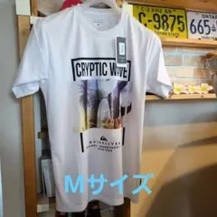 Quiksilver CRYPTIC WAVE Tシャツ M