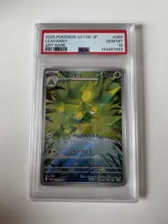 ハハコモリ AR psa10