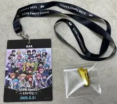 すとふぇす 通し グッズ 4/6銀テ すとふぇす 通し グッズ 4/6銀テ すとふぇす 通し グッズ 4/6銀テ 2025