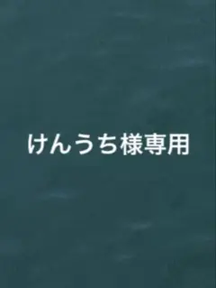 けんうち様専用