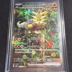 ウガツホムラex SAR スカーレット&バイオレット 拡張パック ワイルド