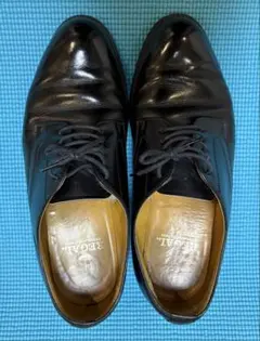 Item thumbnail for item d17abf61-954e-4783-b03d-44c633e90764