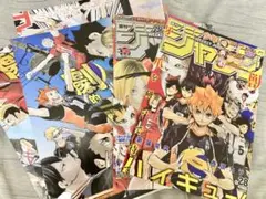 ハイキュー！！　切抜き　カラー　音駒　白鳥沢　烏野　青葉城西