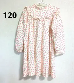 Item thumbnail for item 36e11cd7-a52a-43b3-a111-9dc4b269cd9d