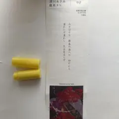 Item thumbnail for item 8a0bd65b-2786-47fd-bd52-618db77a3a85