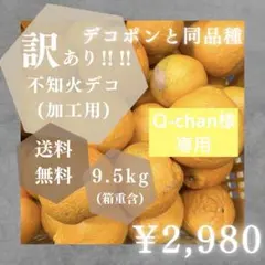 Ｑ-chan様専用