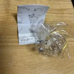 Item thumbnail for item da10ea6a-68e7-4893-9f52-1263262859b0