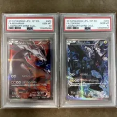 666番【PSA10 連番】 ポケモン　ゼクロム レシラム 伝説キラコレクション 666番【PSA10 連番】 ポケモン ゼクロム レシラム 伝説キラ