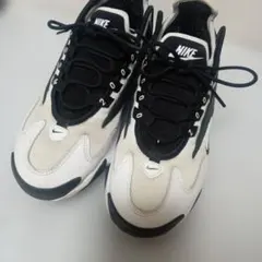 Item thumbnail for item bfa1e64d-95b3-4a57-8be4-4e288a3b21f2