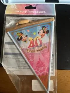 東京ディズニーリゾート ランド ドリームガーランド 40周年