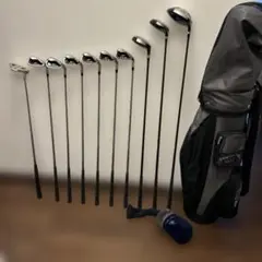 初心者おすすめ　ワールドイーグル　メンズR 10本　F-01α 右利き