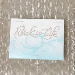&TEAM Back to Life ミニアルバム Mini CD-1 1枚