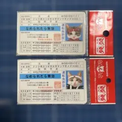 お値下げ交渉可能です。なめ猫　免許証 お値下げ交渉可能です。なめ猫 免許証 - メルカリ
