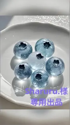 Sharuru.様確認のため専用出品