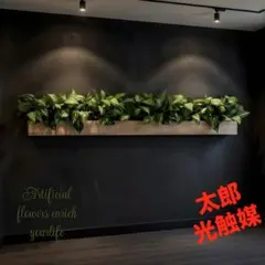 光触媒　人工観葉植物　ウォールグリーン　壁掛け　ウッドボックスZPのサムネイル