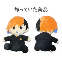 東海オンエア てつや ぬいぐるみ スーツ 宣材写真