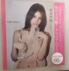 新品　フラッシュ　DVD