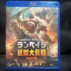 Ｒタイプ様 リクエスト 6点 まとめ商品