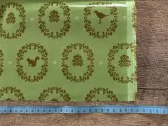 echino 生地 ラミネート　グリーン　希少　送料込