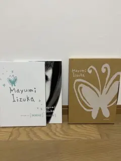 Item thumbnail for item d7dd5e4f-3a74-4ee7-8e01-bb3b4d192787