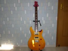 2026年最新】prs se custom 24の人気アイテム - メルカリ