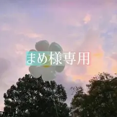 まめ様専用