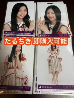 川端晃菜 乃木坂46 ビリヤニ 封入生写真 4種コンプ