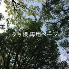 ふぅさま専用★七五三着物