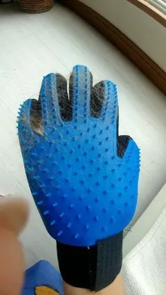 Item thumbnail for item 6ae85bb0-3516-4a03-8a8c-d3be46f77e6a