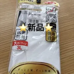 新品⭐️GUNZE スパンブリーフ快適工房 綿100 コットン 3L