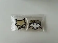 【ハイキュー】10thクロニクル ピンバッジ アドラーズ MSBY 特装版　特典